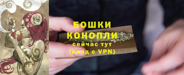 стаф Белоозёрский