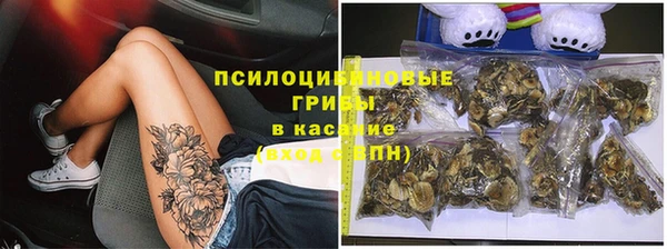 твердый Белокуриха