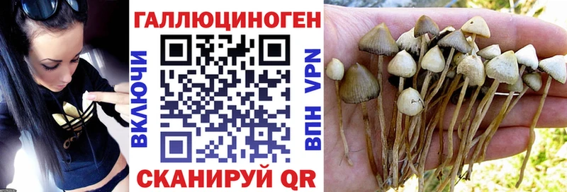 Купить закладки  Сорочинск  Галлюциногенные грибы Magic Shrooms 